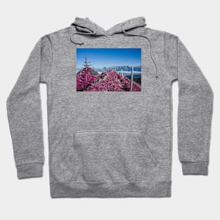 The Way Pink / Swiss Artwork Photography Hoodie